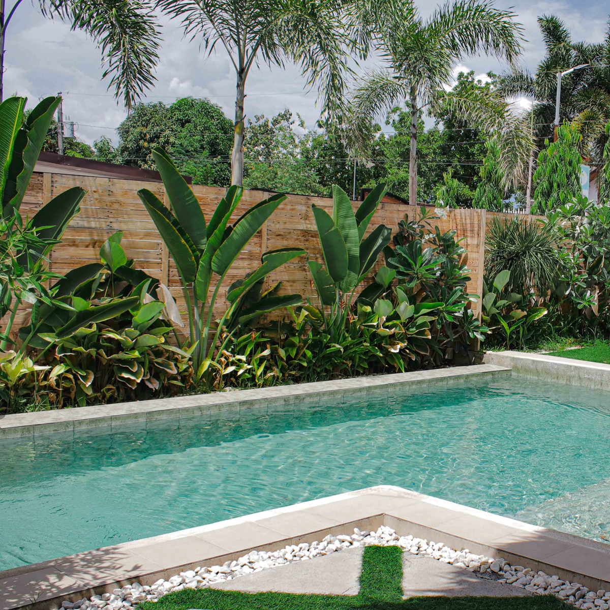 A captivating poolside landscape adorned with lush green plants, featuring native New Zealand Pohutukawa trees with vibrant red flowers, Cordyline plants with long arching leaves in various hues, and ornamental grasses adding texture and softness to the scene. The plants create a harmonious and serene ambiance, enhancing the pool area's natural beauty.